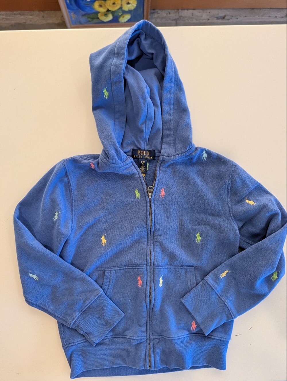 Polo Ralph Lauren All Over Pony Hoodie Blue With Pastel Embroidered Ponies Kids